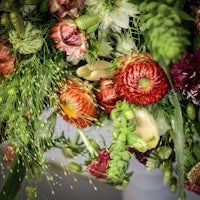 a close up of a bouquet of flowers