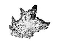 a black and white drawing of two wolf heads